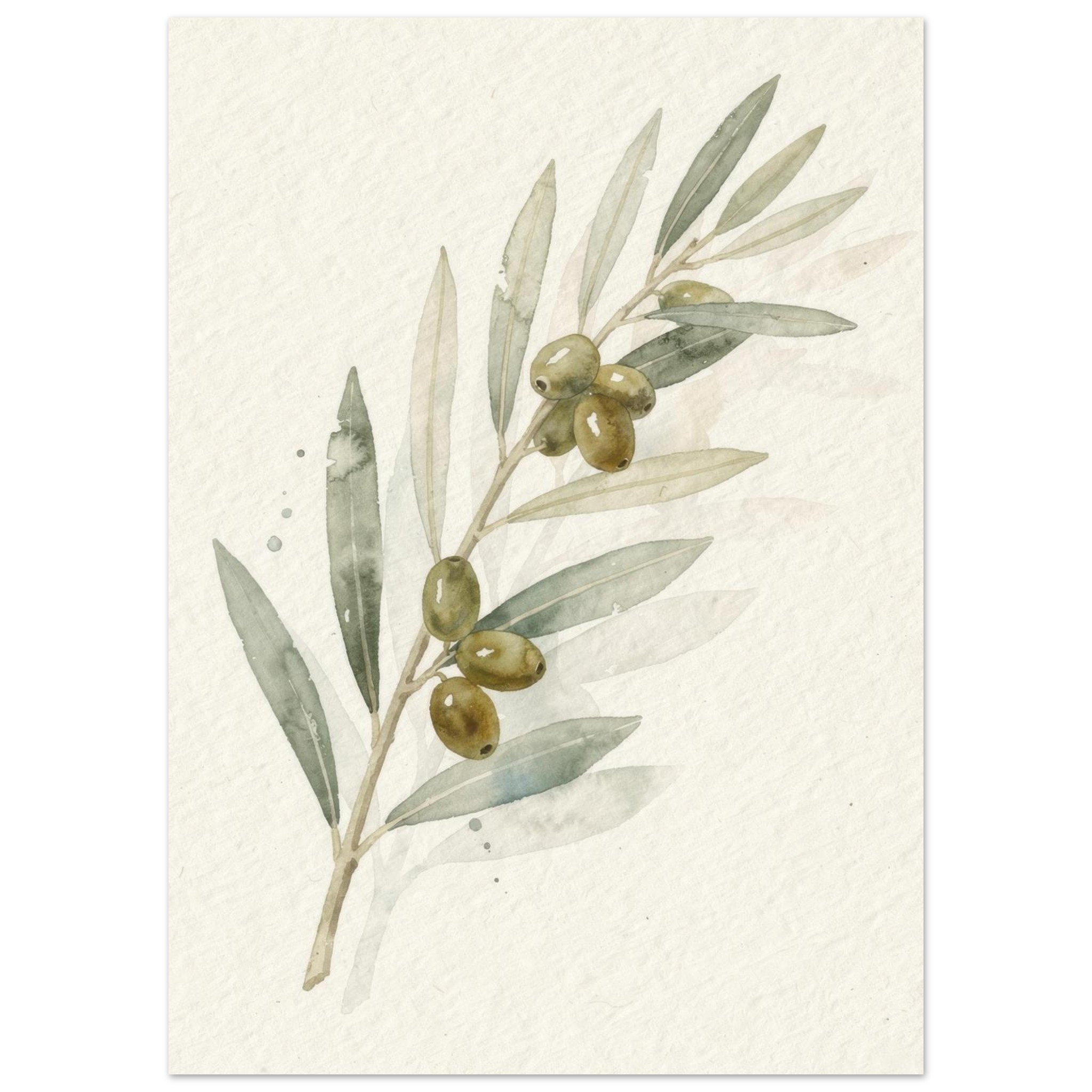 Watercolor botanical illustration of an olive branch with green leaves and golden-brown olives against a cream background.