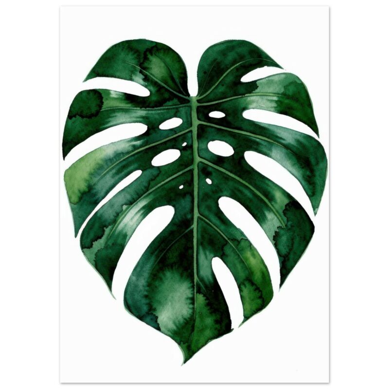Watercolor illustration of a Monstera deliciosa leaf with characteristic split lobes and fenestrations against a white background.