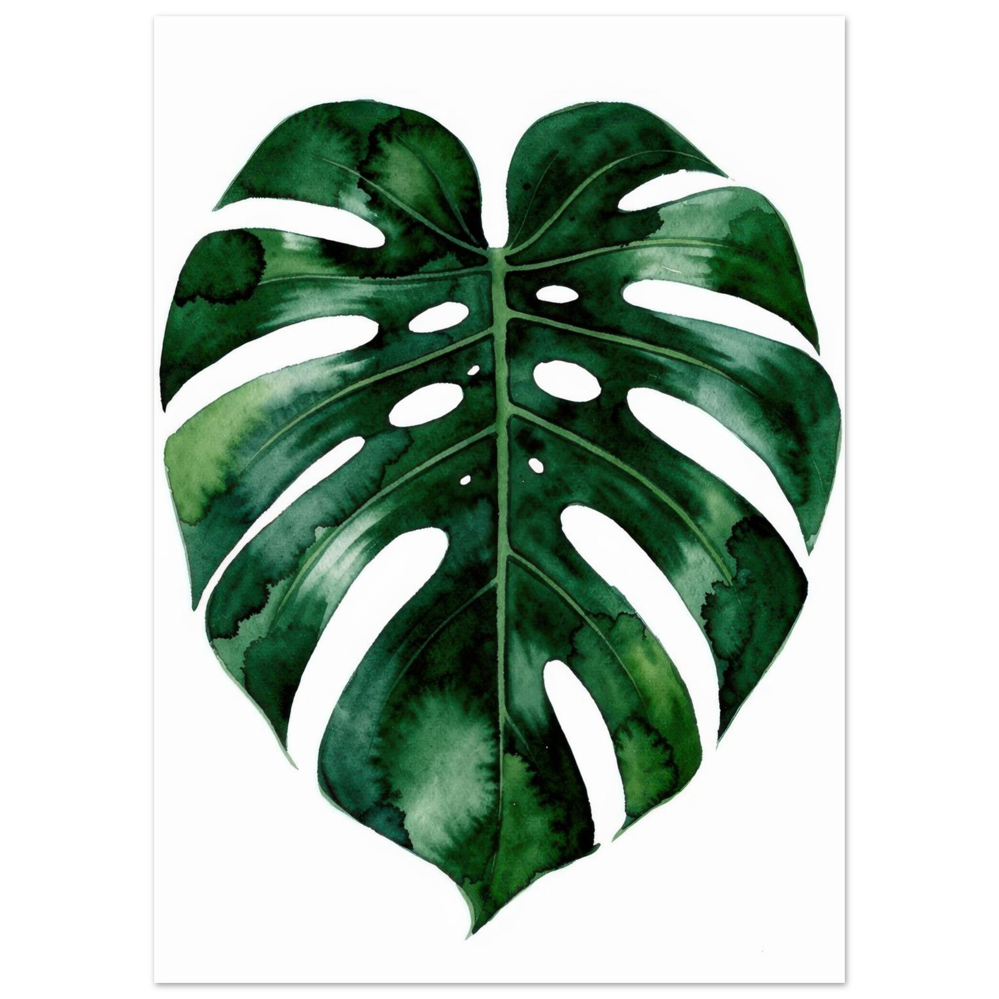 Watercolor illustration of a Monstera deliciosa leaf with characteristic split lobes and fenestrations against a white background.