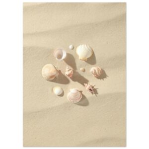 Seashells on White Sand Beach Photography Wall Art Print